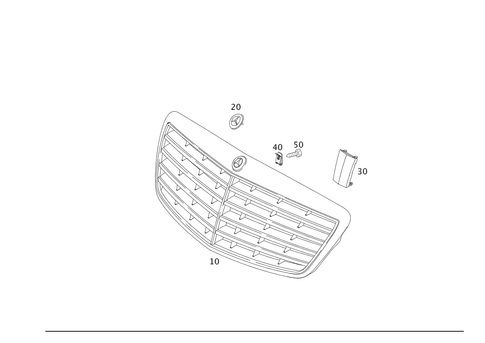 Radiator Grill for 2012 Mercedes-Benz S400 #0