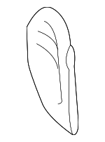 6474652030B0 - Body: Access Cover for Scion: xB Image