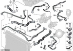 17129797615 - Radiator: Hose, Radiator-Engine for BMW Image