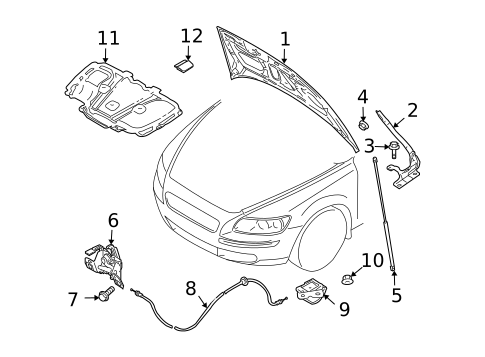 Hood & Components for 2013 Volvo C30 #0