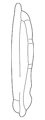 15769601 - Body: Filler Panel for Chevrolet: Silverado 1500, Silverado 1500 HD, Silverado 2500, Silverado 2500 HD, Silverado 3500 | GMC: Sierra 1500, Sierra 1500 HD, Sierra 2500, Sierra 2500 HD, Sierra 3500 Image