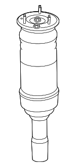 T4K13053 - : Air Spring for Jaguar: I-Pace Image