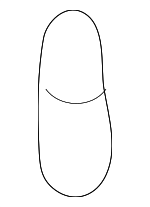 9098211045 - : Fuse for Toyota: Prius Image