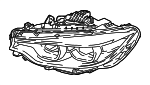 63117478155 - Electrical: Headlamp Assembly for BMW Image