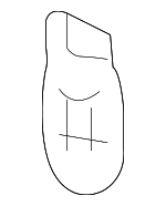 110194 - Electrical: Map Light Bulb for Mazda Image