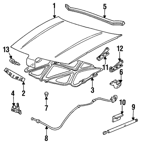 Hood & Components for 1992 Buick Skylark #0