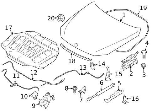 Hood & Components for 2013 BMW 750i #0