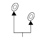 995621000 - Brakes: Brake Hose Gasket for Mazda: 3, 6, CX-3, CX-30, CX-5, CX-50, CX-70, CX-9, CX-90, MX-30 EV, MX-5 Miata Image