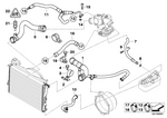 11531711877 - Engine: Water Hose for BMW Image
