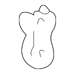 5711922060 - Body: Lower Rail Plate for Lexus: IS300 Image