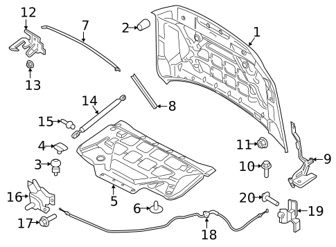 Hood & Components for 2023 Lincoln Navigator #0