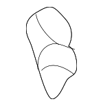 G03058315 - : Lock Assembly Clip for Mazda: 626, Miata, MPV, MX-6, Protege, Protege5, RX-7 Image