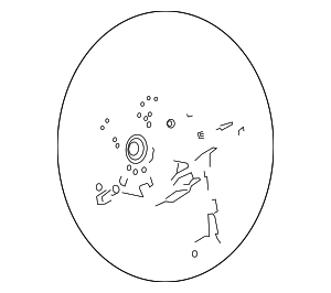 32307944585 - : Steering Wheel for BMW Image