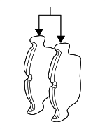 34116761244 - Brakes: Brake Pads for BMW: 318i, 318is, 318ti, 323Ci, 323i, 323is, 325Ci, 325i, 325is, 325xi, 328Ci, 328i, 328is, Z3, Z4 Image