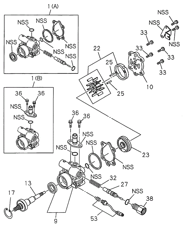P.S. Oil Pump (TO:9807) for 1999 Honda Passport #0