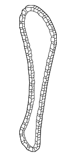 13028ZD00A - : Timing Chain for Nissan Image