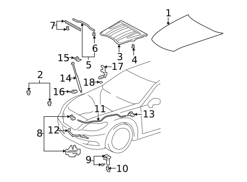 Hood & Components for 2009 Lexus LS460 #0