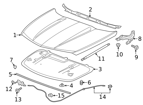 Hood & Components for 2020 Cadillac XT4 #0