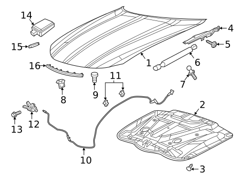 Hood & Components for 2013 Dodge Charger #1