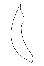 88350D5010 - Body: Seat Back Pad for Kia: Optima Image