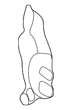 681383S500 - Body: Support Bar Bracket for Nissan Image