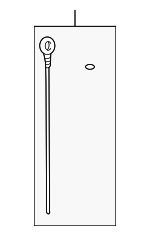 1530146023 - Engine: Dipstick for Lexus: IS300, SC300 Image