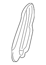 YL3Z1661350AAB - Body: Lower Cover for Lincoln: Blackwood Image