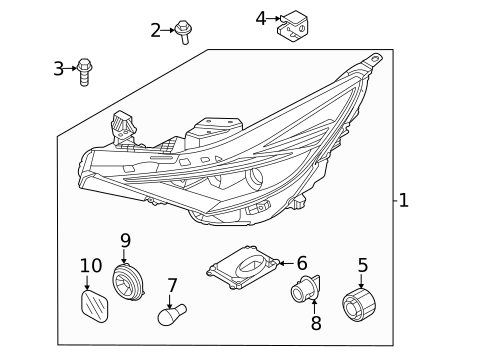 Bulbs - Chassis for 2021 Hyundai Elantra #2