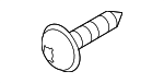 1249306207E - Body: Fender Liner Screw for Hyundai Image
