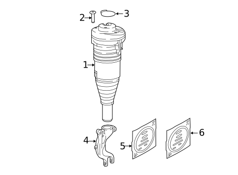 Shocks & Components for 2022 Audi SQ7 #1