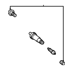 Tire Pressure Monitoring System (TPMS) Sensor Valve Assembly