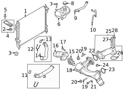 Hoses & Pipes for 2020 Ford Mustang #1