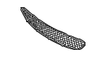 51117895739 - Body: Lower Grille for BMW: M5 Image