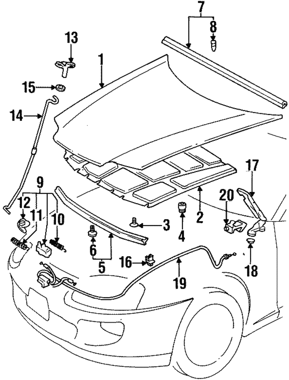 OEM 1993-1998 Toyota Supra Hood Part # 53301-14340 | Modern