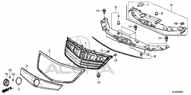 Front Grille for 2014 Acura TSX #0