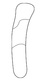 MB934538 - Body: Bumper Cover Plate for Mitsubishi Image