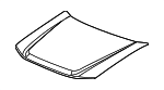 88980747 - Body: Hood for Buick: Rainier Image