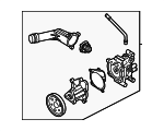 Water Pump Assembly
