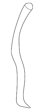 30622606 - Body: Washer Hose for Volvo: 850, C30, C40 Recharge, C70, EC40, S40, S60, S60 Cross Country, S70, S80, S90, V40, V50, V60, V60 Cross Country, V70, V90, V90 Cross Country, XC40, XC40 Recharge, XC60, XC70, XC90 Image