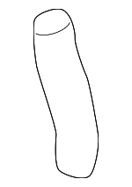 64116906545 - HVAC: Drain Hose for BMW: 323Ci, 323i, 325Ci, 325i, 325xi, 328Ci, 328i, 330Ci, 330i, 330xi, M3, X3 Image