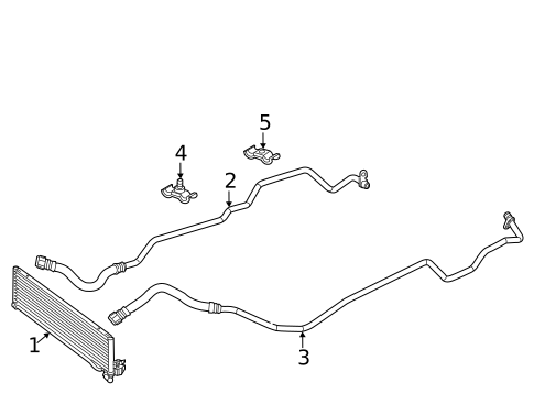 Diagram 5