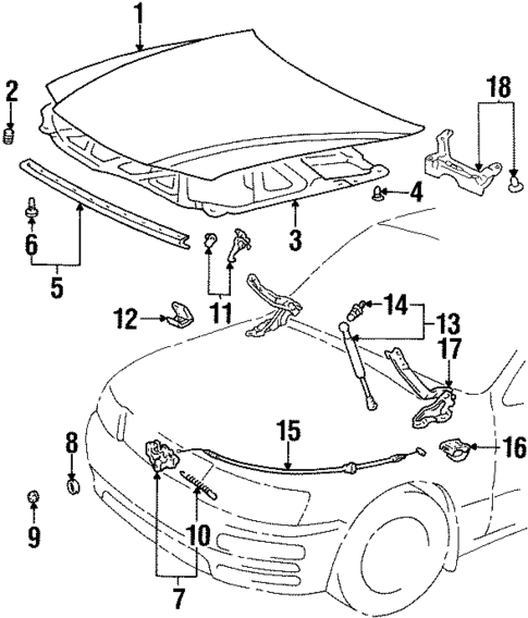 Hood & Components for 1995 Lexus LS400 #0