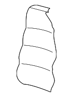 3B0885805GCRKA - Body: Seat Back Cover for Volkswagen: Passat Image