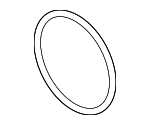 Coupling O-Ring