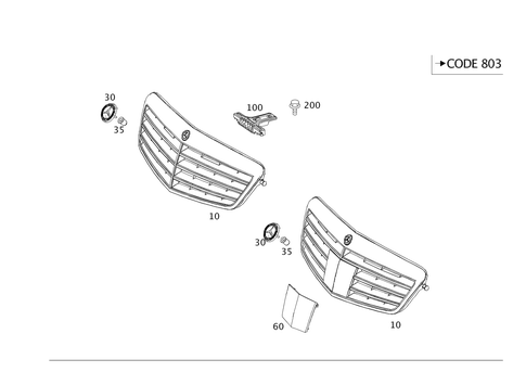 Radiator Grille for 2013 Mercedes-Benz E400 #0
