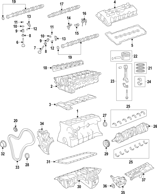 11347641075 - Engine: Intake Valve for BMW Image