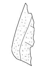 1K5885775K - Body: Seat Back Pad for Volkswagen: Jetta Image