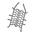 96875908 - Body: Seat Cushion Spring for GM Image