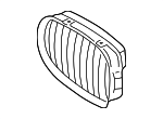 51138159316 - Body: Grille for BMW Image
