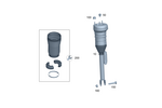 2963204900 - Suspension: Air Spring Strut for Mercedes-Benz Image